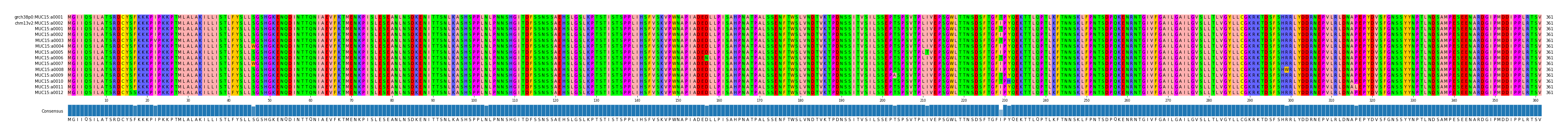 Multiple Alignments (by translate haplotype frequency)