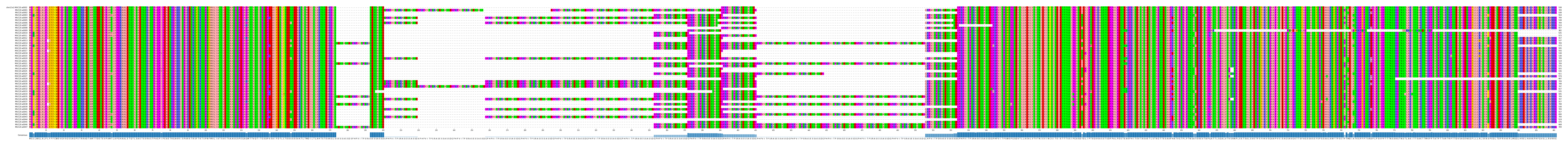Multiple Alignments (by translate haplotype frequency)