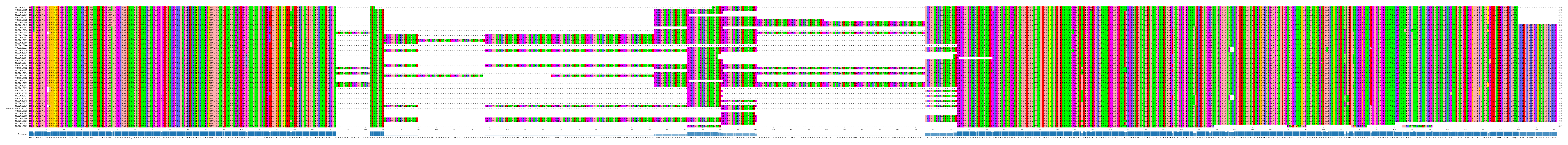 Multiple Alignments (by translate haplotype similarity)