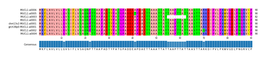 Multiple Alignments (by translate haplotype similarity)