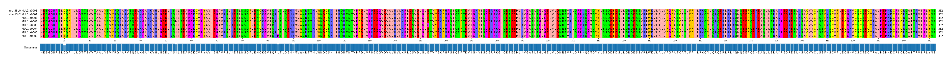 Multiple Alignments (by translate haplotype frequency)