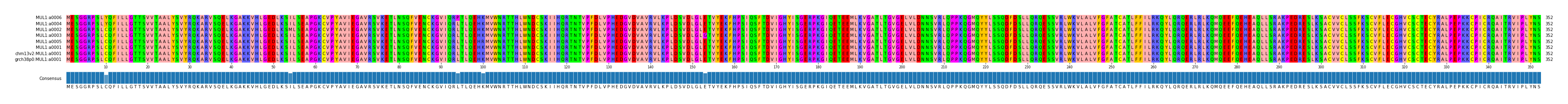 Multiple Alignments (by translate haplotype similarity)
