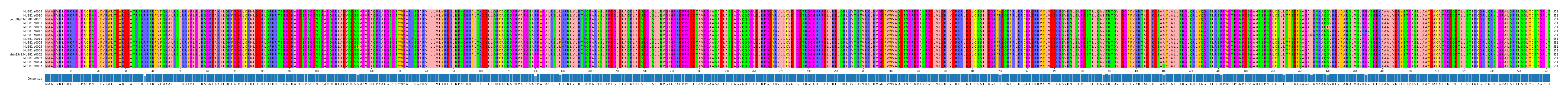 Multiple Alignments (by translate haplotype similarity)