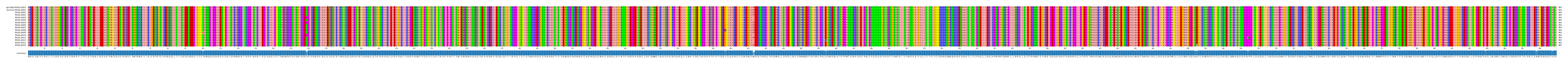 Multiple Alignments (by translate haplotype frequency)