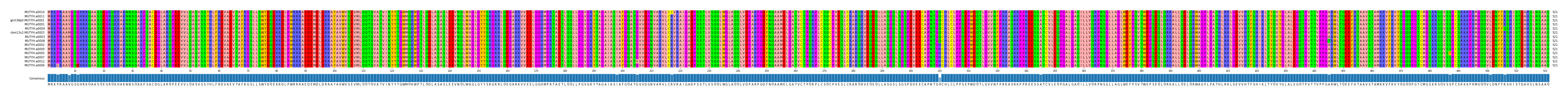 Multiple Alignments (by translate haplotype similarity)