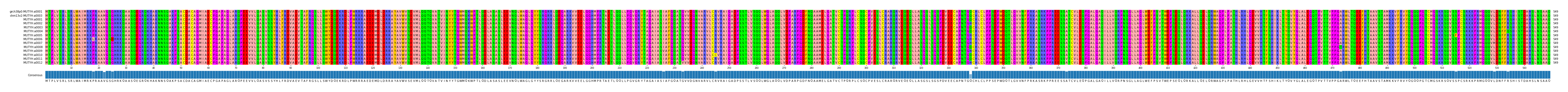 Multiple Alignments (by translate haplotype frequency)