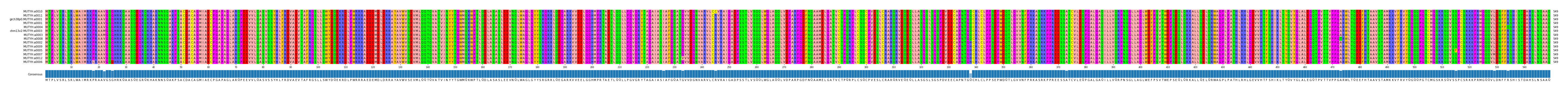 Multiple Alignments (by translate haplotype similarity)