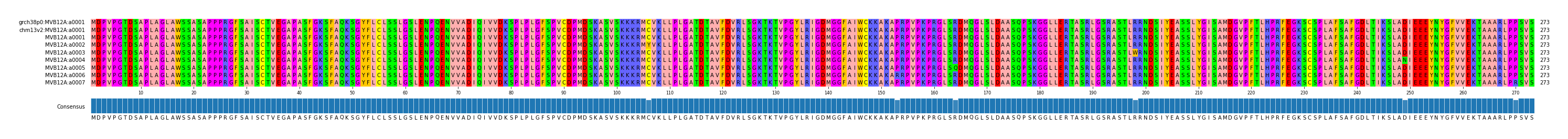 Multiple Alignments (by translate haplotype frequency)