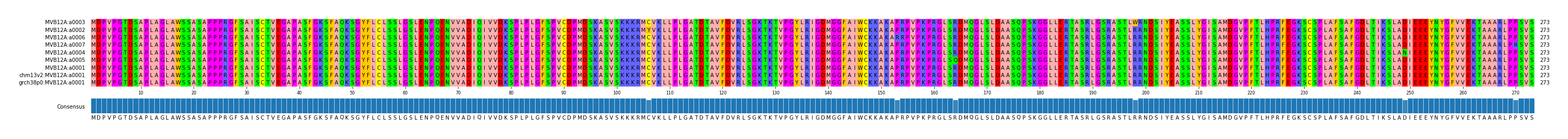 Multiple Alignments (by translate haplotype similarity)