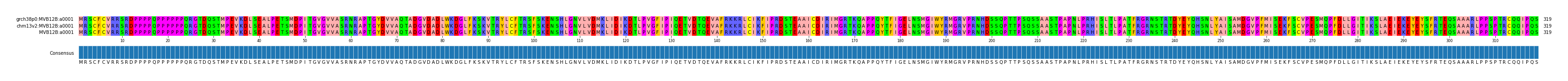 Multiple Alignments (by translate haplotype similarity)