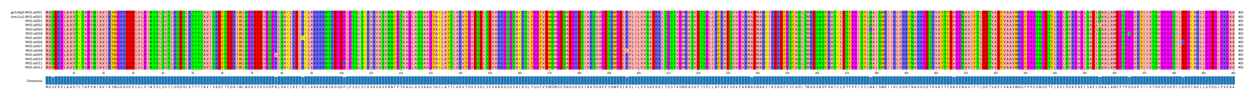 Multiple Alignments (by translate haplotype frequency)