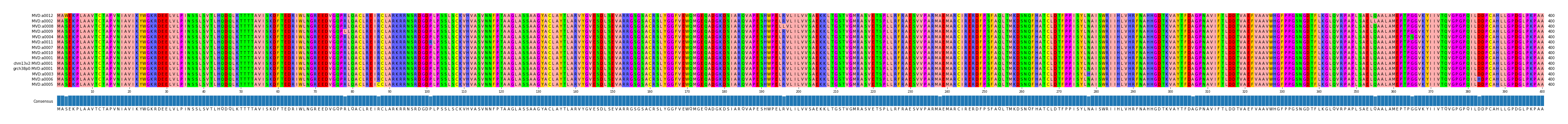 Multiple Alignments (by translate haplotype similarity)