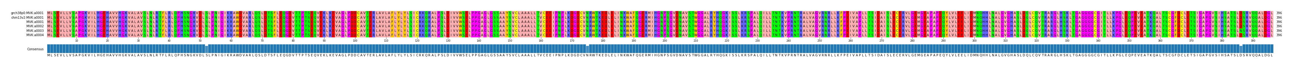 Multiple Alignments (by translate haplotype frequency)