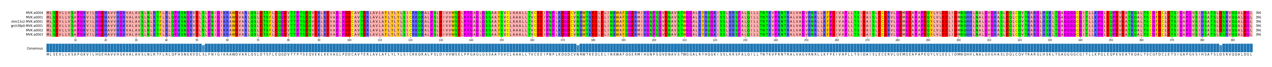 Multiple Alignments (by translate haplotype similarity)