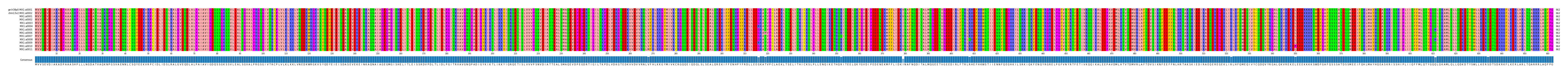Multiple Alignments (by translate haplotype frequency)