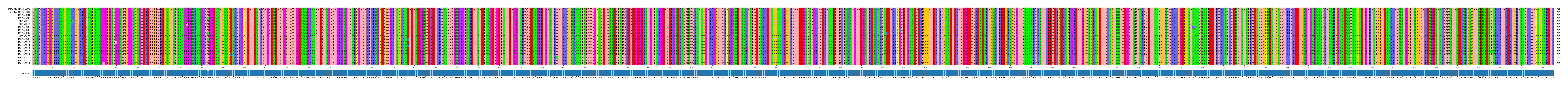 Multiple Alignments (by translate haplotype frequency)