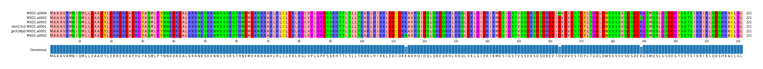 Multiple Alignments (by translate haplotype similarity)