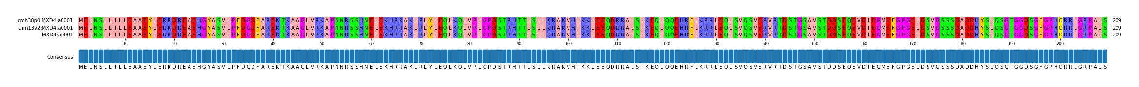 Multiple Alignments (by translate haplotype similarity)
