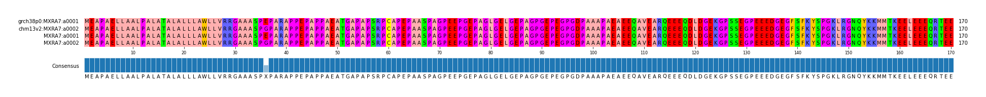 Multiple Alignments (by translate haplotype frequency)