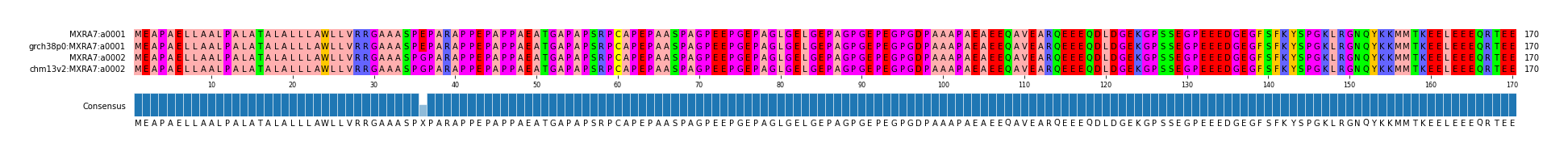 Multiple Alignments (by translate haplotype similarity)