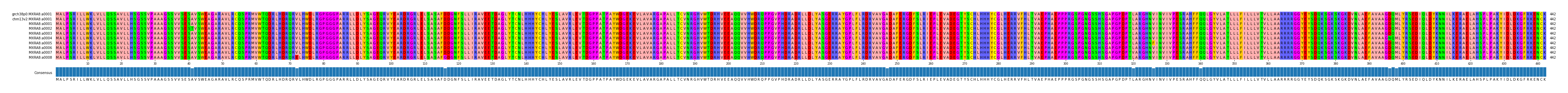 Multiple Alignments (by translate haplotype frequency)