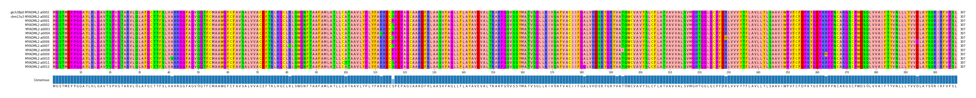 Multiple Alignments (by translate haplotype frequency)