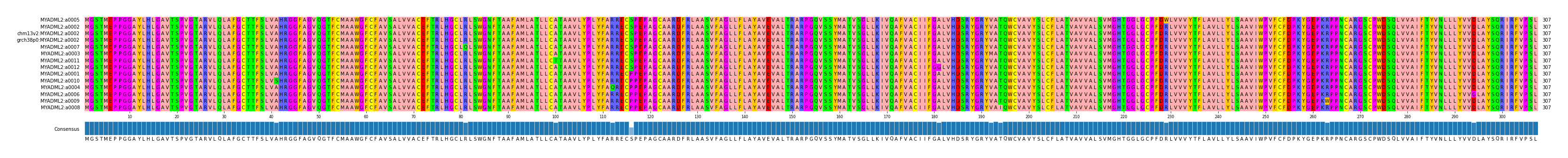 Multiple Alignments (by translate haplotype similarity)