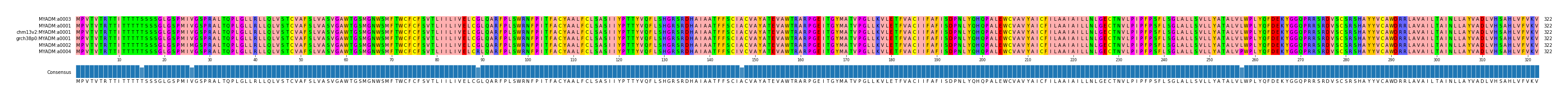 Multiple Alignments (by translate haplotype similarity)