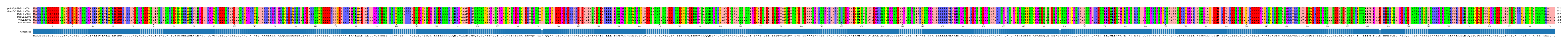 Multiple Alignments (by translate haplotype frequency)