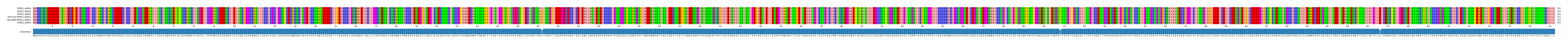 Multiple Alignments (by translate haplotype similarity)