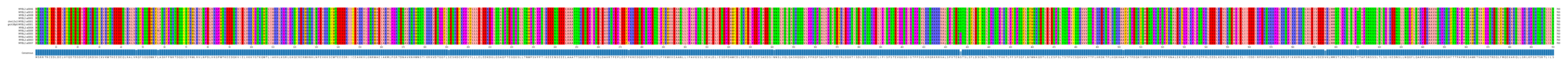 Multiple Alignments (by translate haplotype similarity)