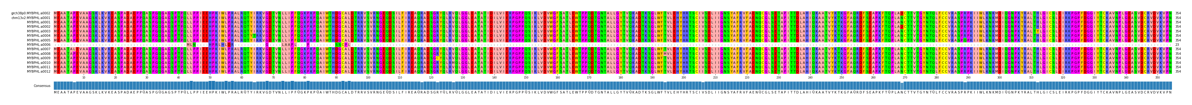 Multiple Alignments (by translate haplotype frequency)