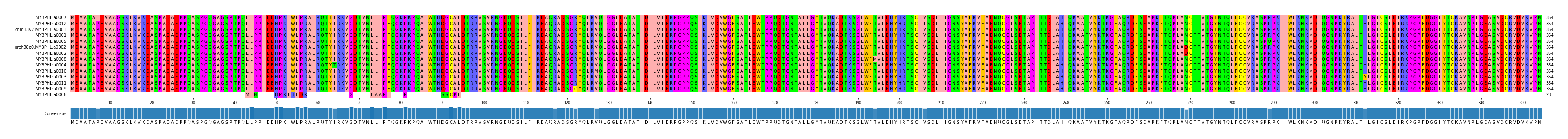 Multiple Alignments (by translate haplotype similarity)