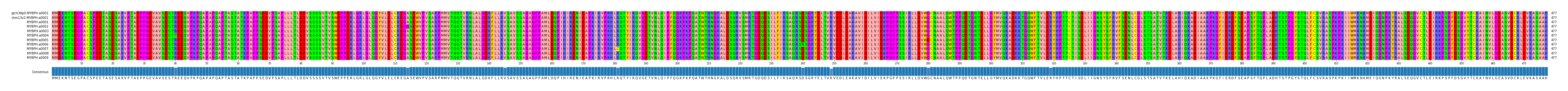 Multiple Alignments (by translate haplotype frequency)
