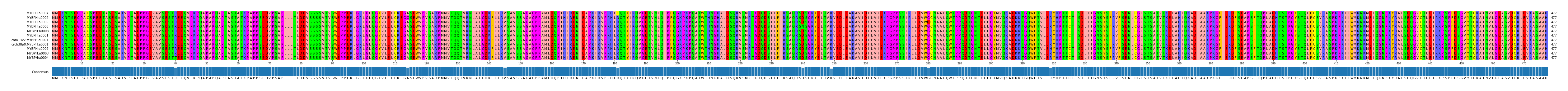 Multiple Alignments (by translate haplotype similarity)