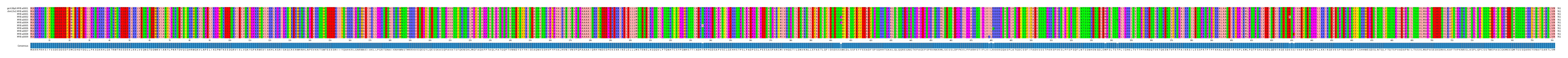 Multiple Alignments (by translate haplotype frequency)