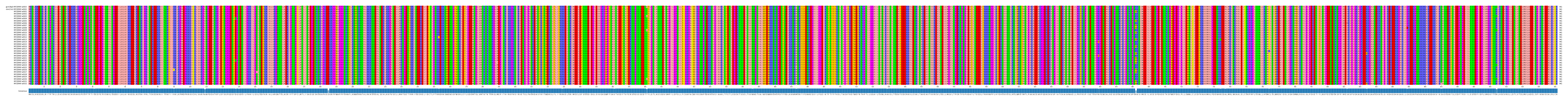 Multiple Alignments (by translate haplotype frequency)