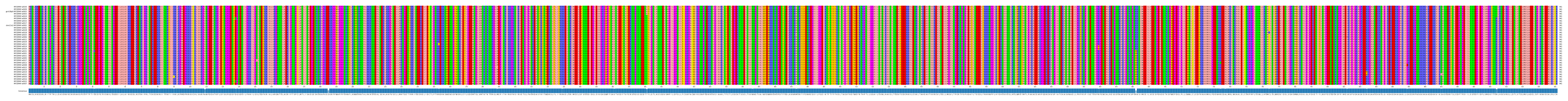 Multiple Alignments (by translate haplotype similarity)