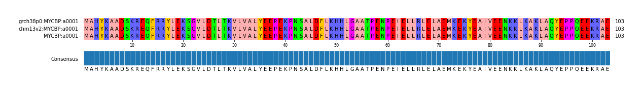 Multiple Alignments (by translate haplotype similarity)