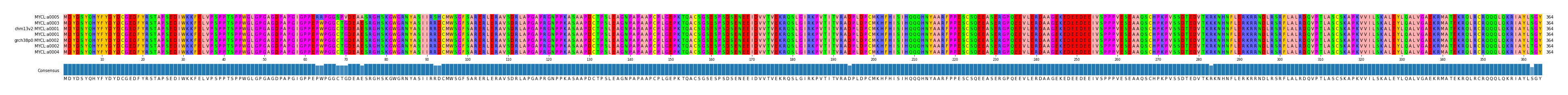 Multiple Alignments (by translate haplotype similarity)