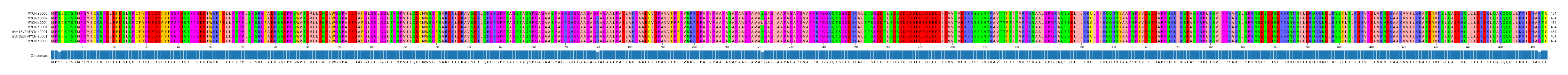 Multiple Alignments (by translate haplotype similarity)