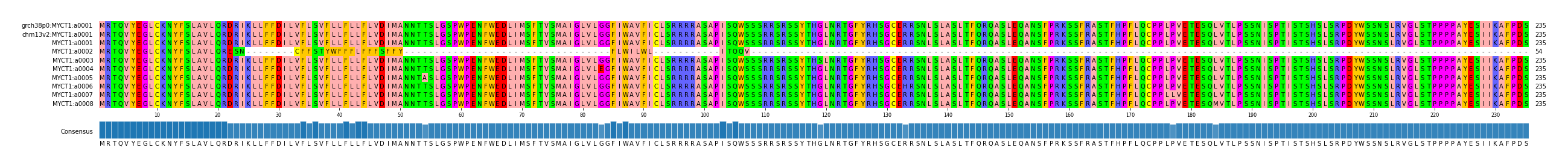 Multiple Alignments (by translate haplotype frequency)