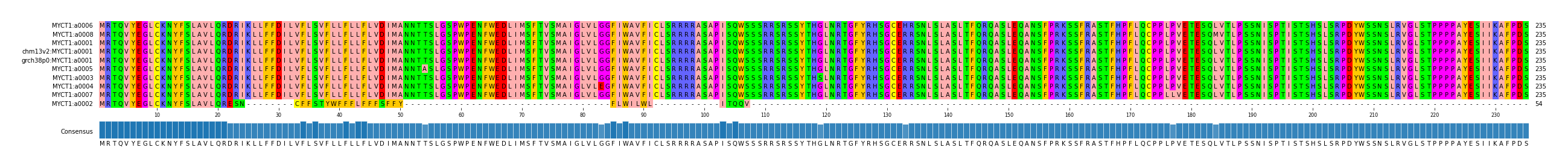 Multiple Alignments (by translate haplotype similarity)