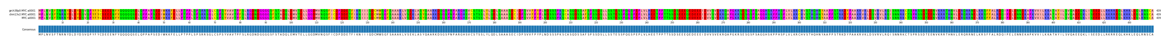 Multiple Alignments (by translate haplotype similarity)