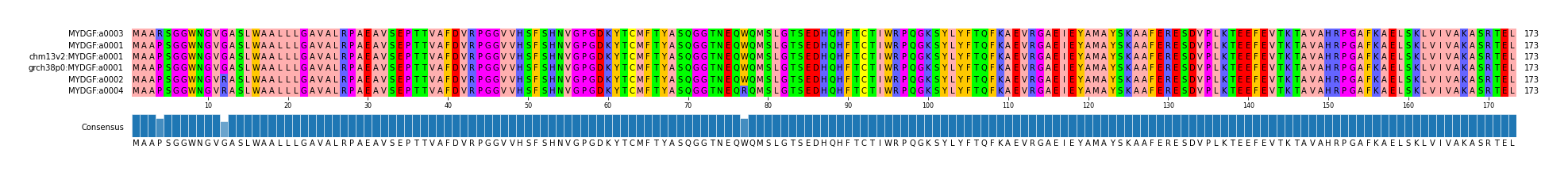 Multiple Alignments (by translate haplotype similarity)