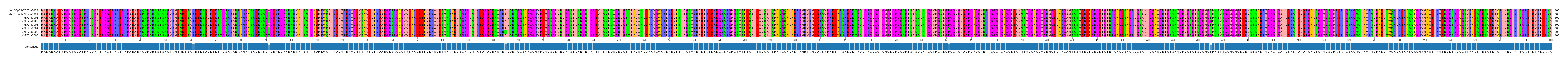 Multiple Alignments (by translate haplotype frequency)