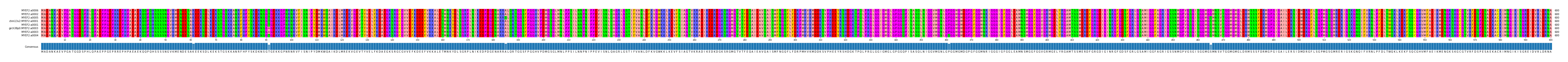 Multiple Alignments (by translate haplotype similarity)