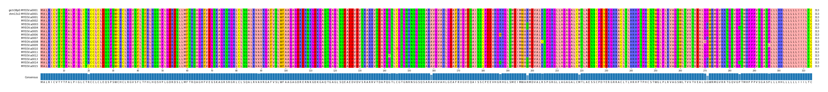 Multiple Alignments (by translate haplotype frequency)