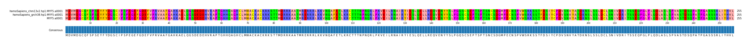 Multiple Alignments (by translate haplotype similarity)