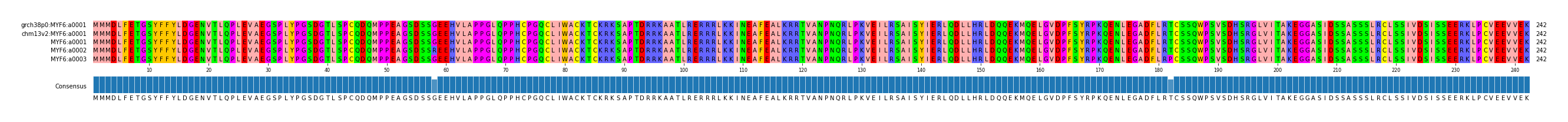 Multiple Alignments (by translate haplotype frequency)